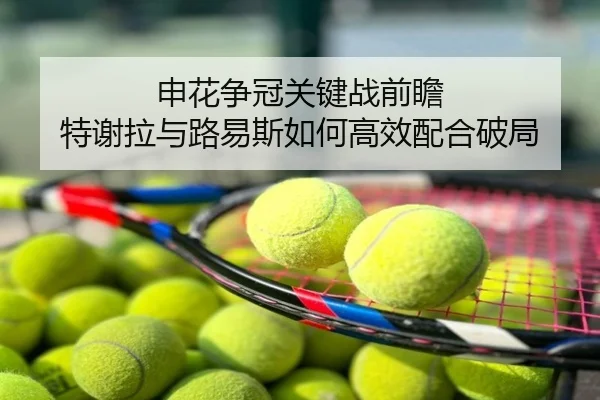 申花争冠关键战前瞻 特谢拉与路易斯如何高效配合破局